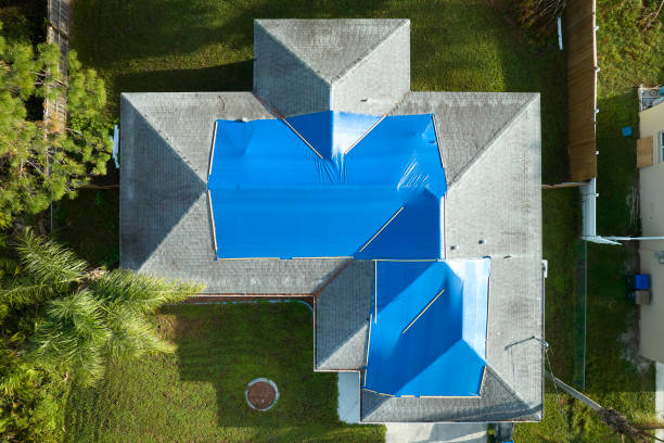 Best Asphalt Shingles Roofing  in Bloomington, TX